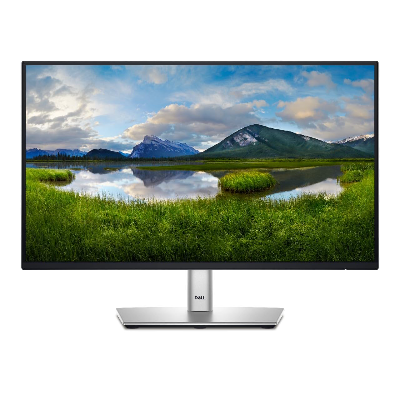 Dell P2425HE Monitor LED IPS 24" FHD