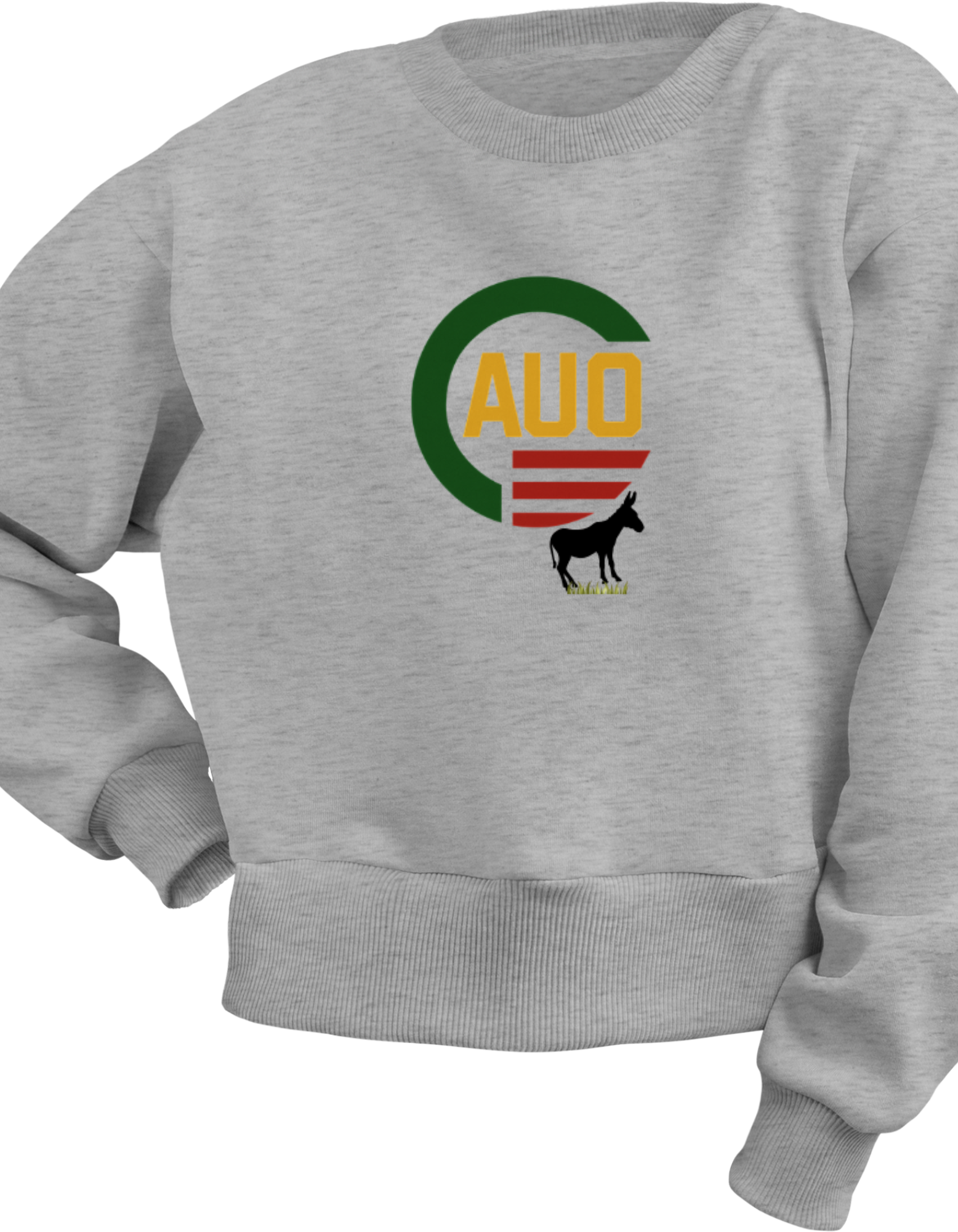 CAUO Graphic Sweatshirt