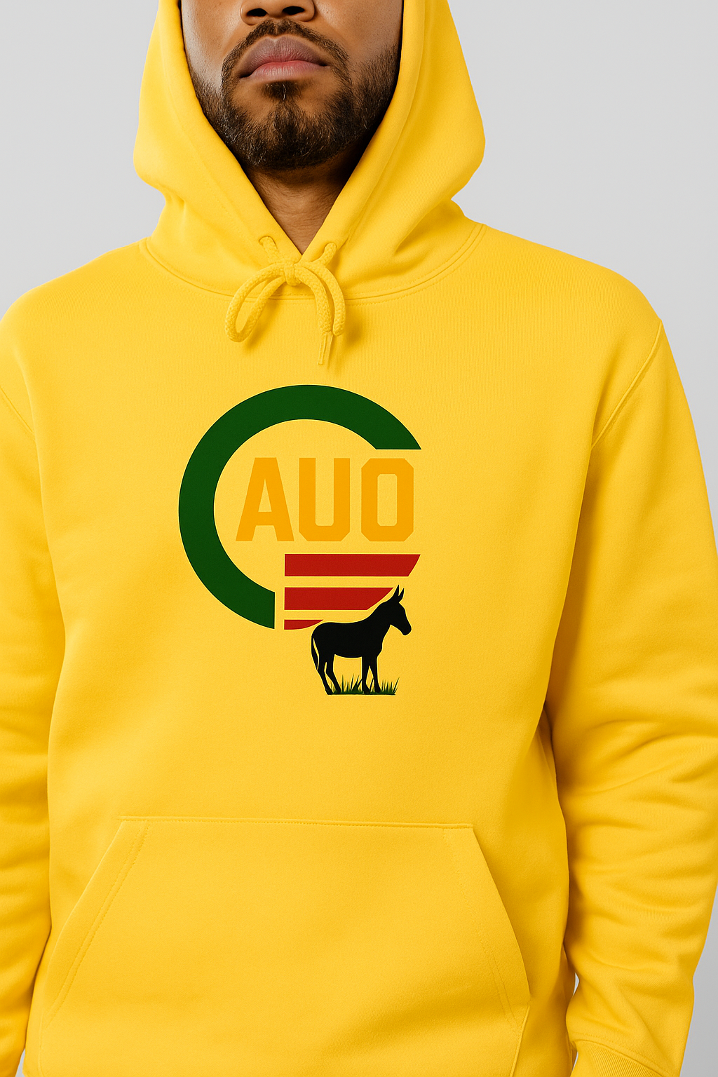 AUO Logo Hoodie