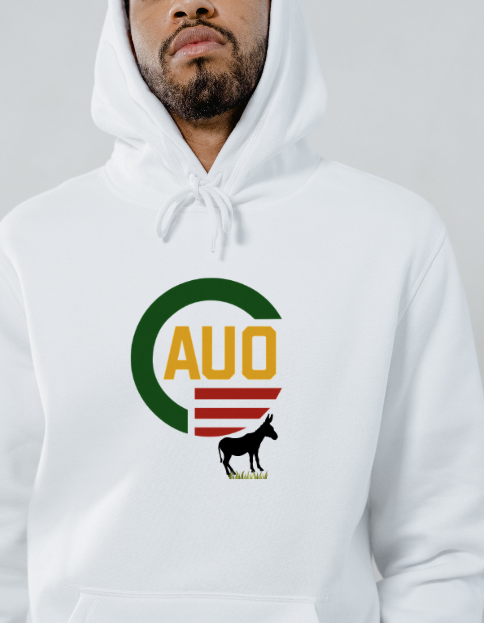 AUO Logo Hoodie