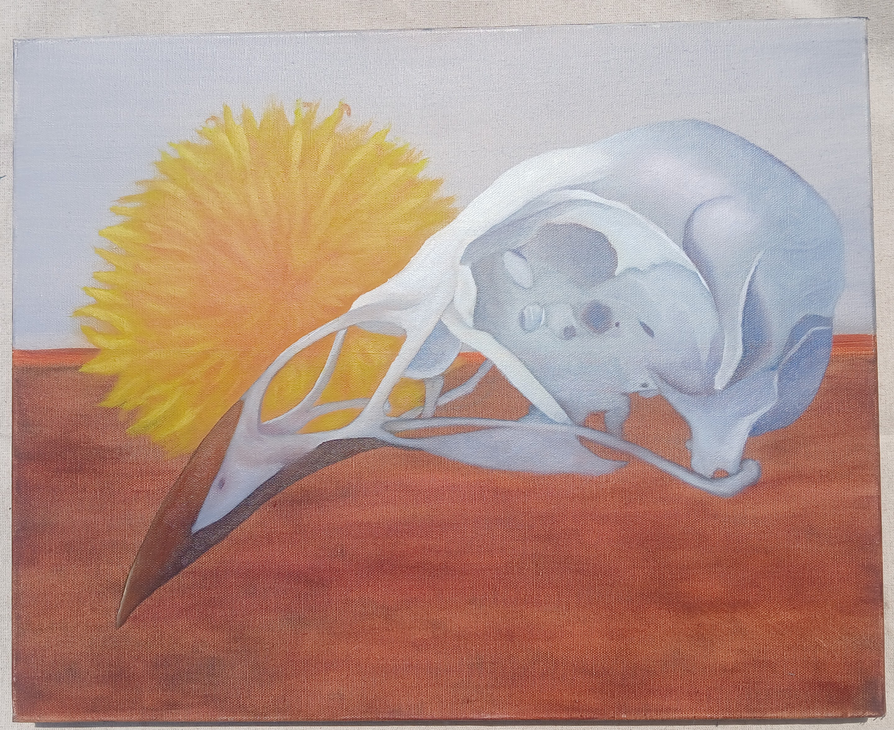 Life & Death