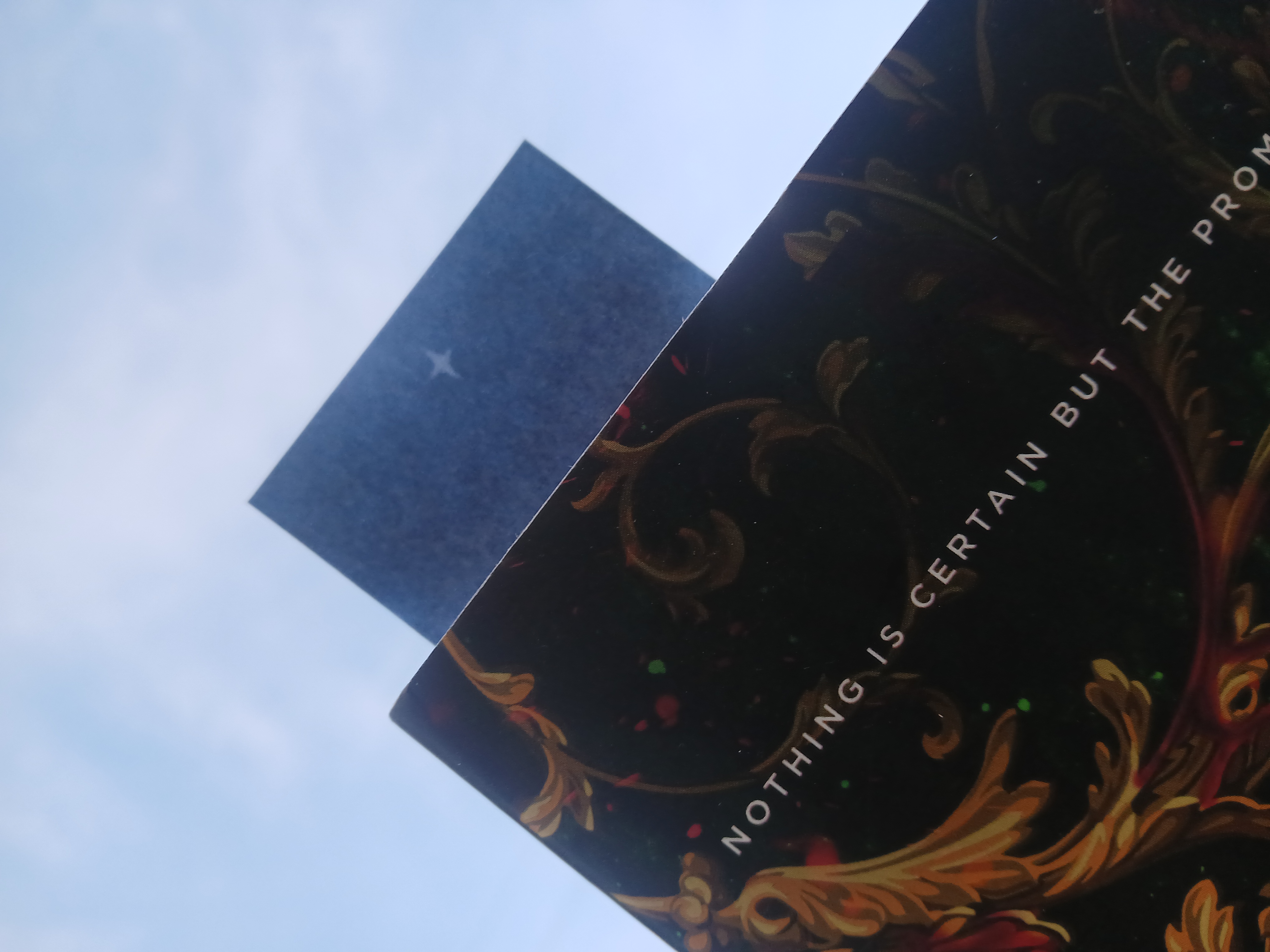 Embrace of the Mother Divine Bookmark