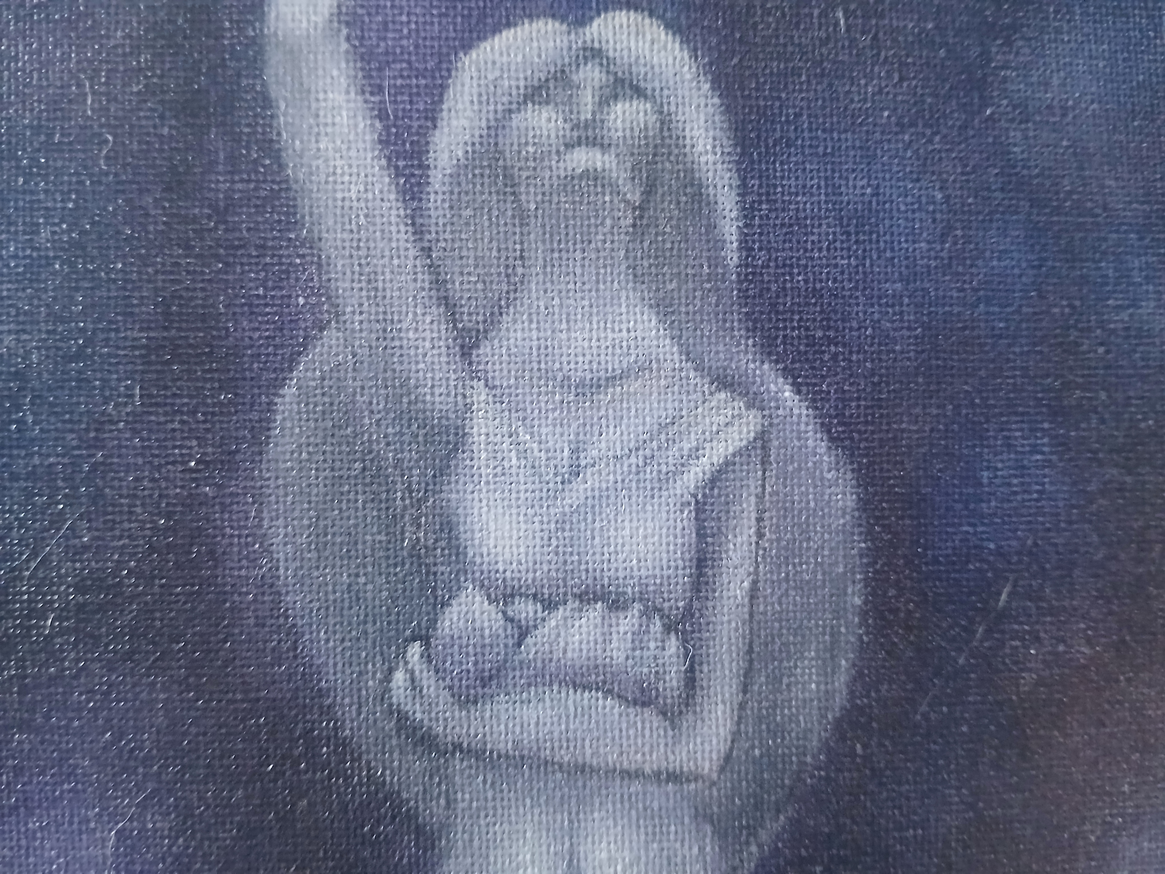 Embrace of the Mother Divine