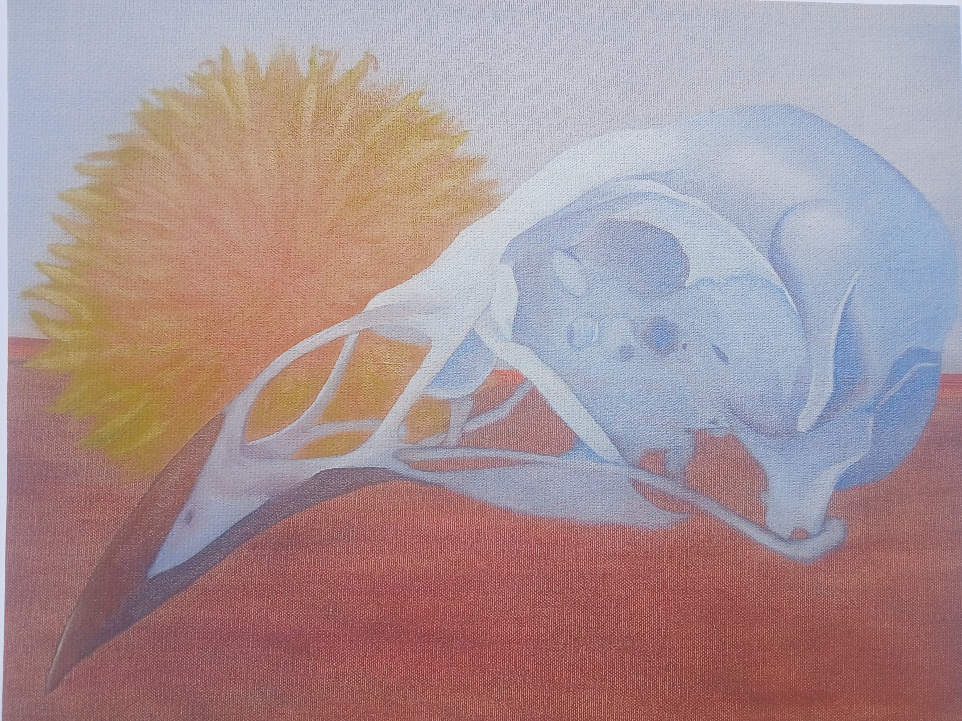 Life and Death Print