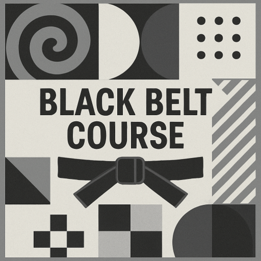 Certificación Internacional Lean Six Sigma Black Belt