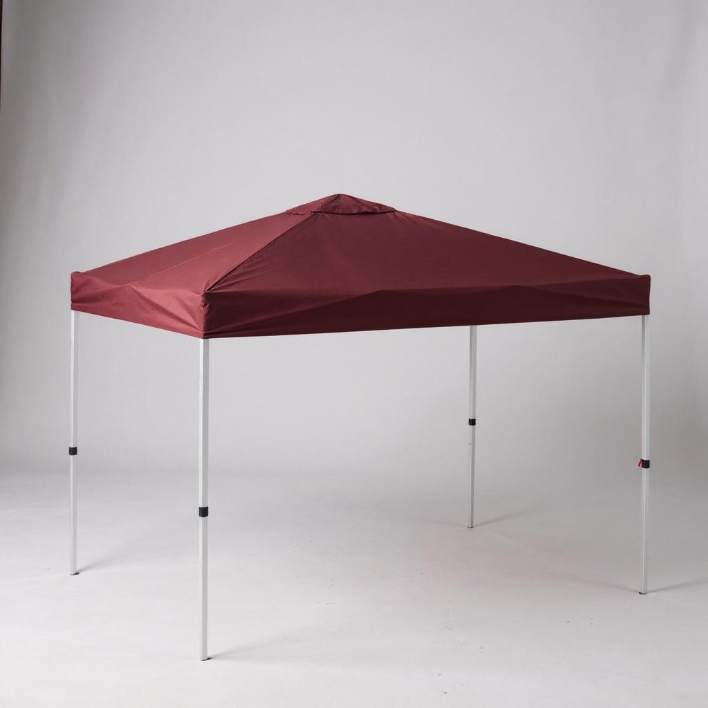 Outdoor Pop-up Canopy Tent