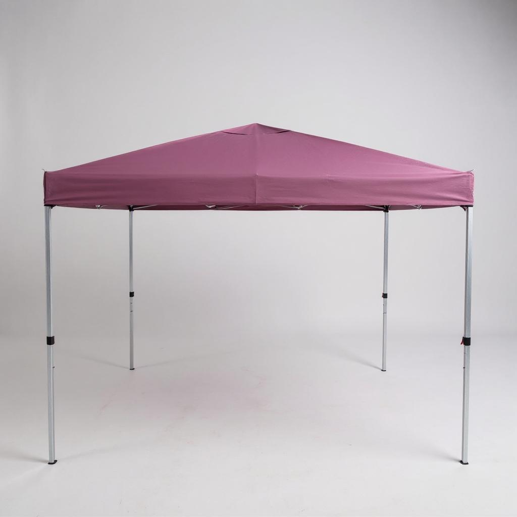 Outdoor Pop-up Canopy Tent