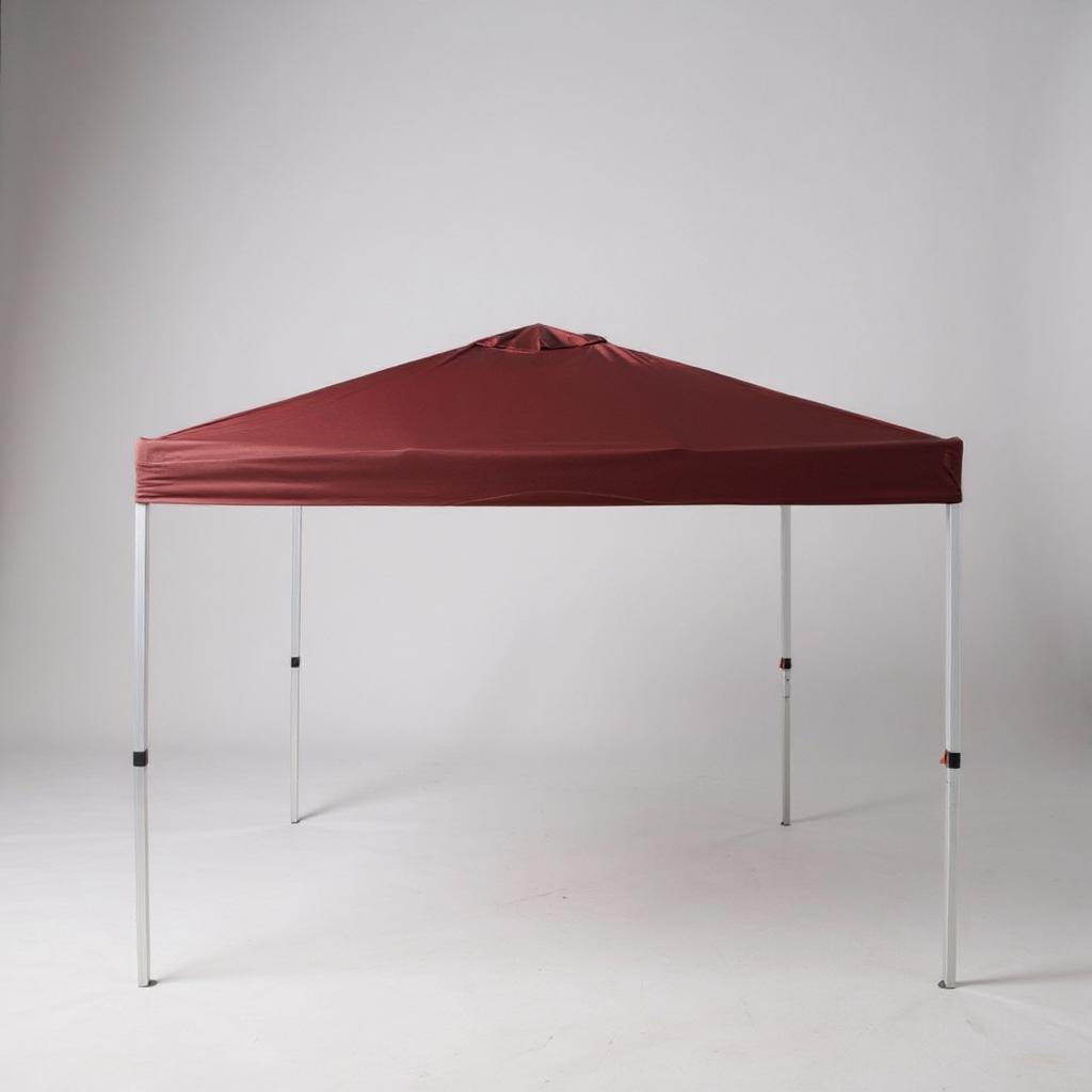 Outdoor Pop-up Canopy Tent