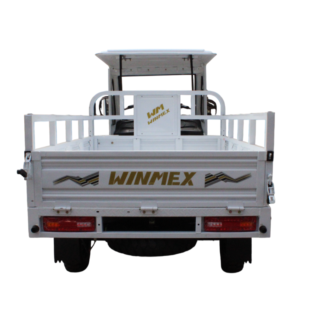 MotoCarro WM250ZH