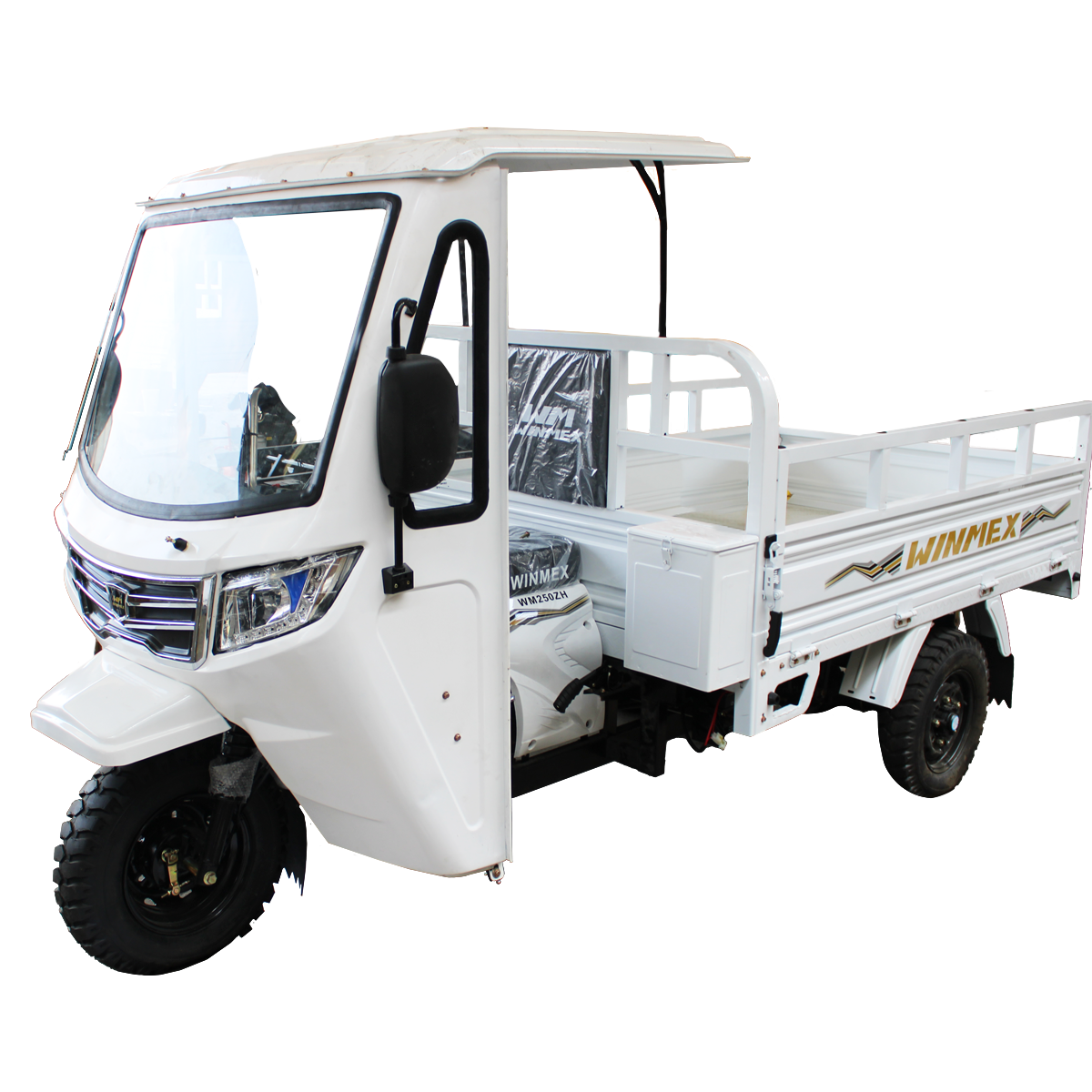 MotoCarro WM250ZH