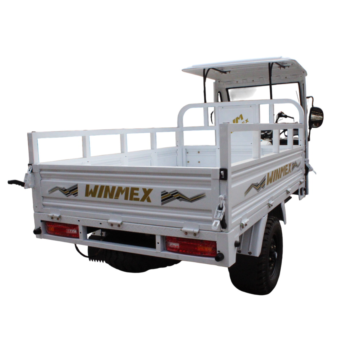 MotoCarro WM250ZH