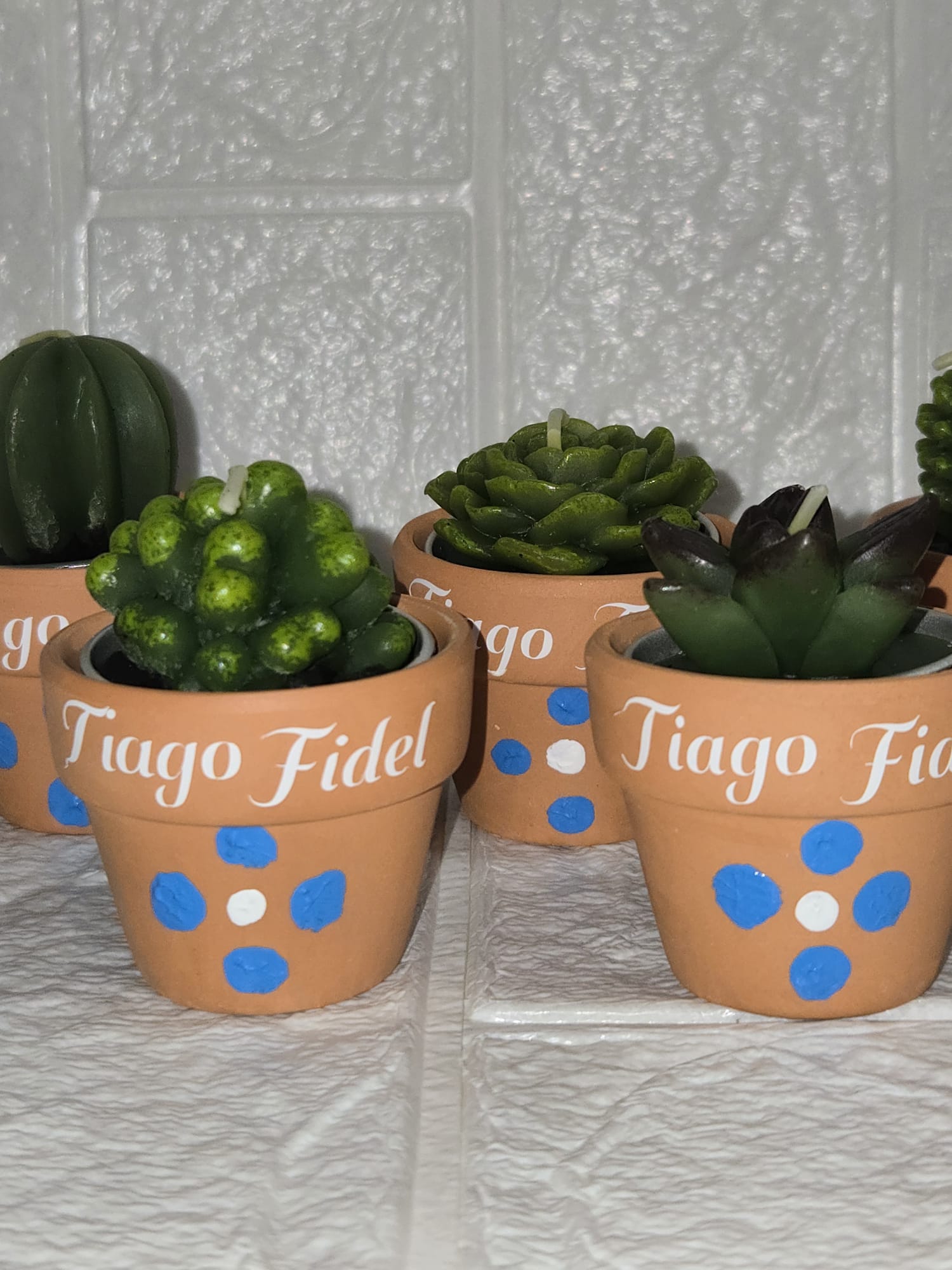 Personalized Succulent Pots