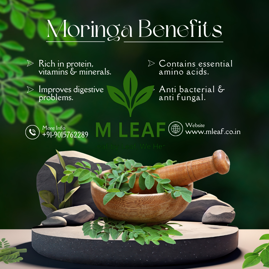 M LEAF Moringa Capsules – Pack of 2 (120 Capsules) | Pure Moringa Leaf Extract | Boosts Immunity & Energy | Vegan Superfood Supplement