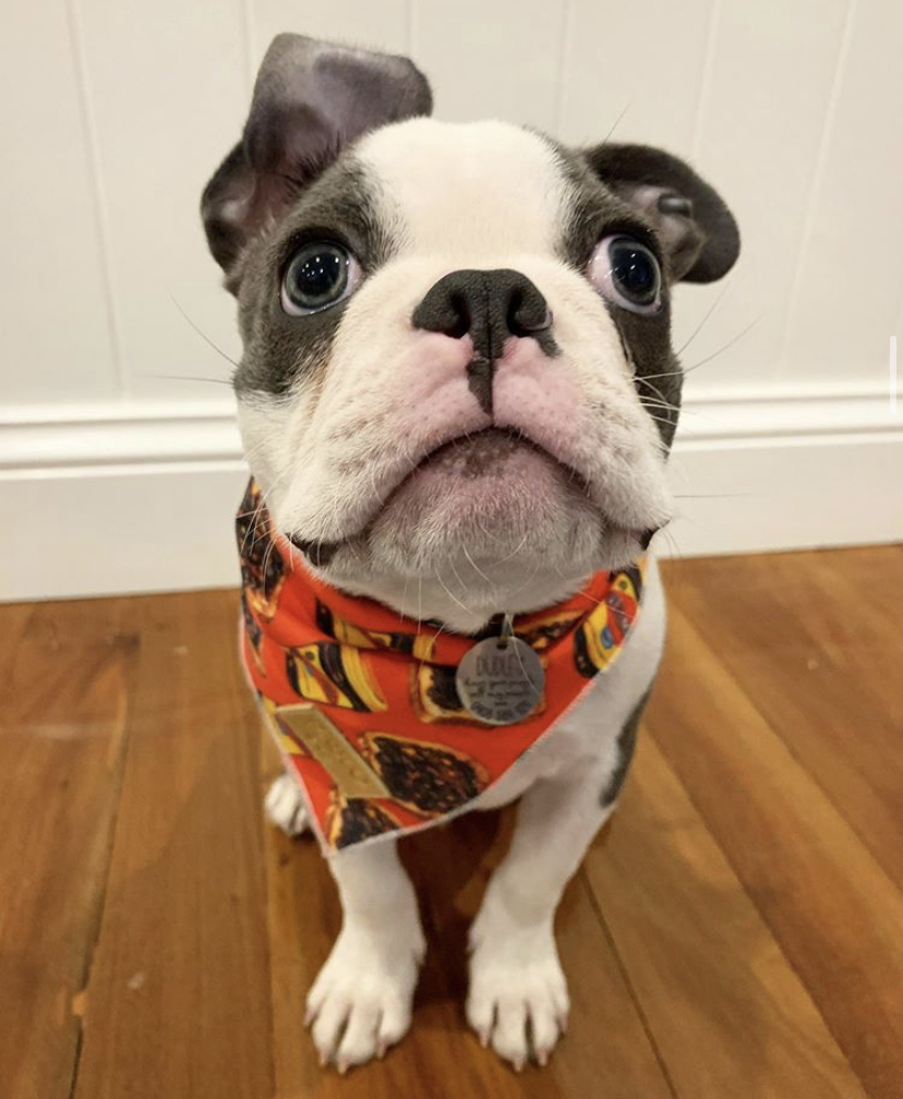 DUDLEY