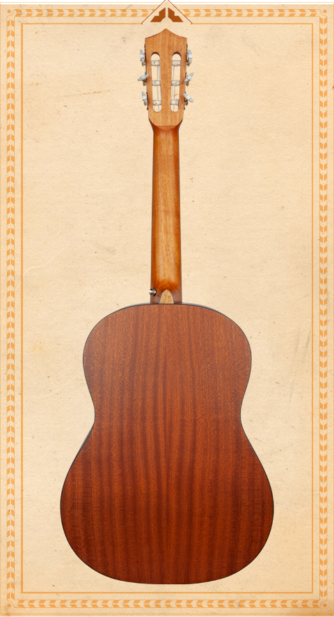 Classical Acoustic Guitar