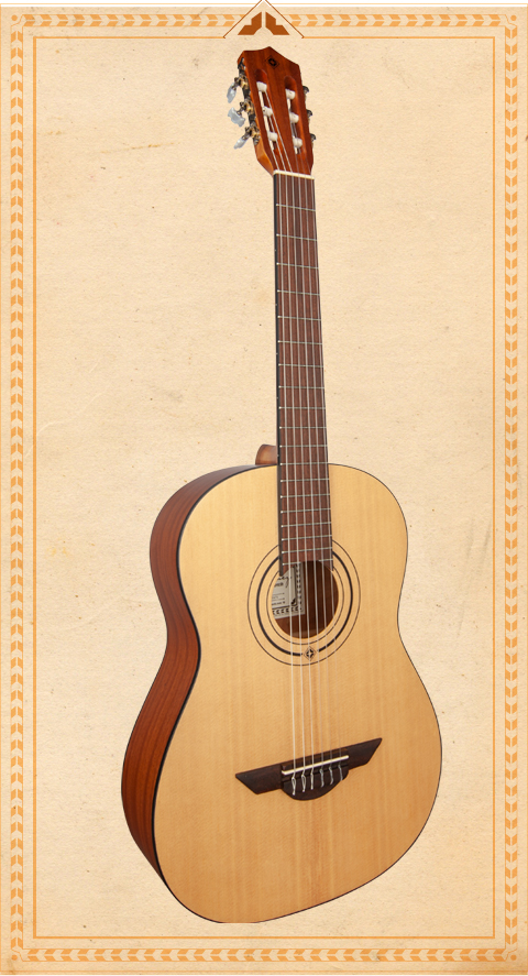 Acoustic Guitar