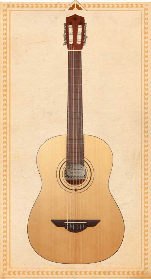 Acoustic Guitar