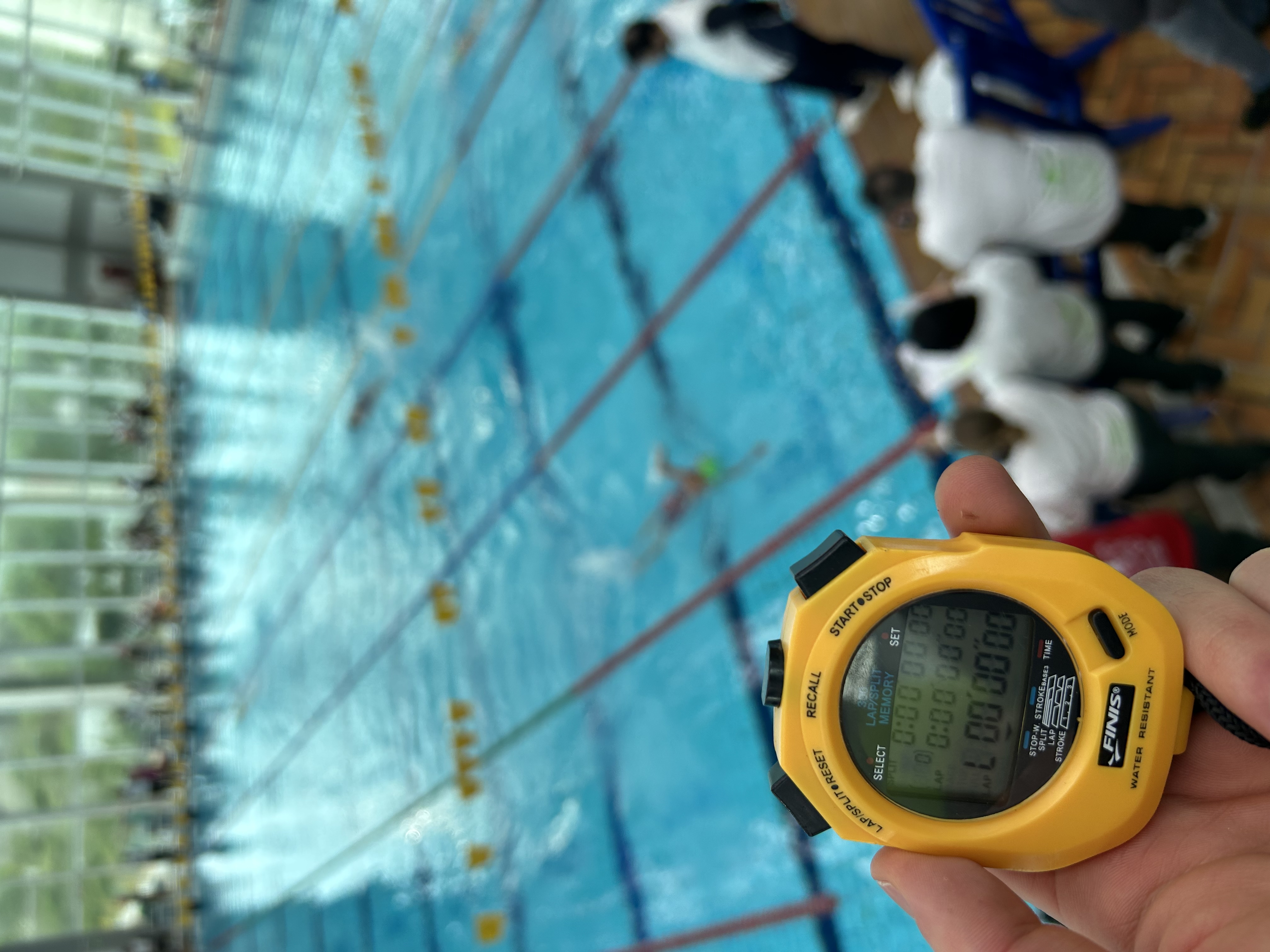Assessoria Online de Natação + Musculação 