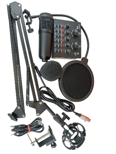 Pack Microphone de Studio avec carte son et Support Flexible