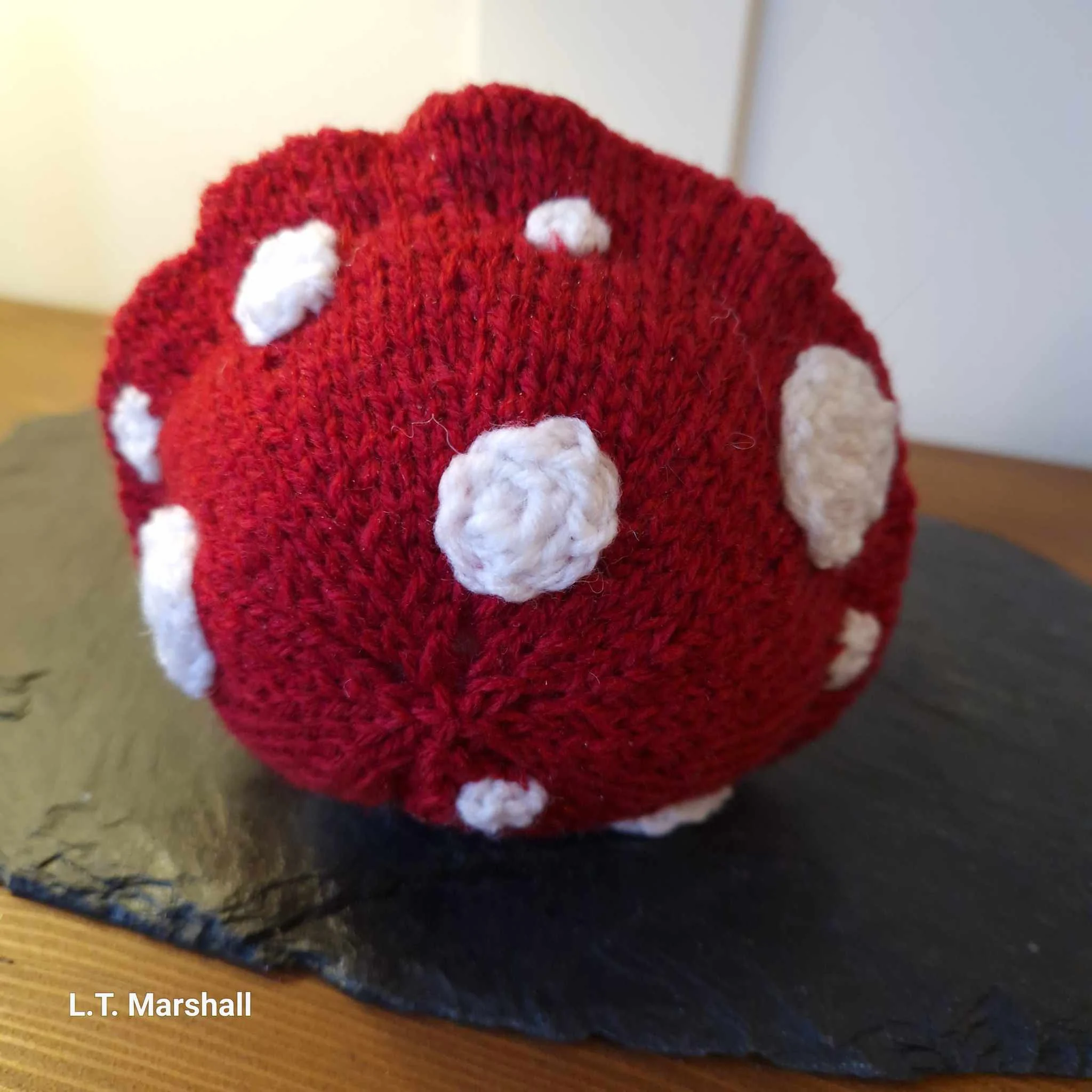 Shroomie Toadstool Knitting Pattern – Cute DIY Mushroom Plush, Soft Toy, Cottagecore Decor, Digital PDF Tutorial