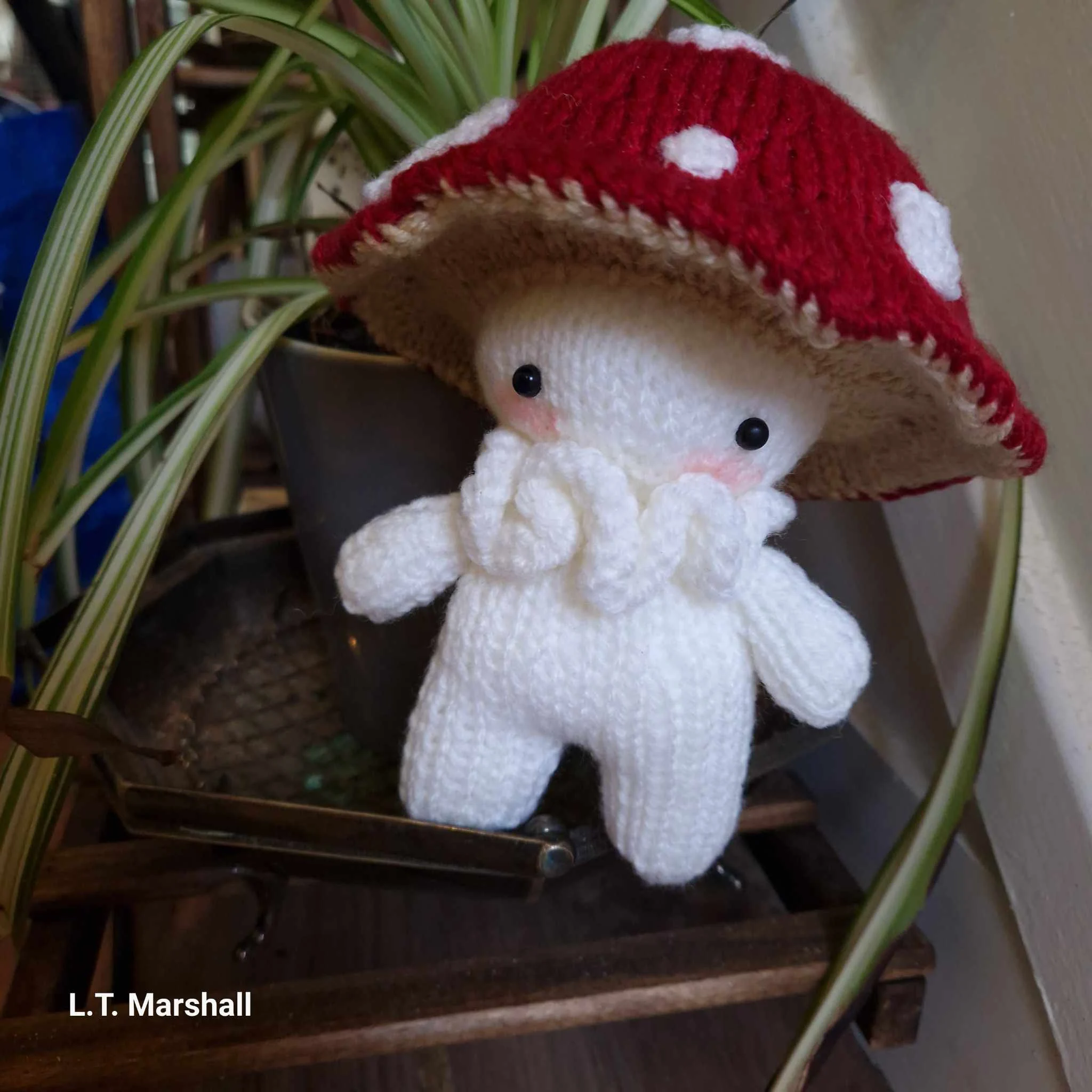 Shroomie Toadstool Knitting Pattern – Cute DIY Mushroom Plush, Soft Toy, Cottagecore Decor, Digital PDF Tutorial