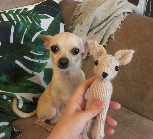 Chico the Chihuahua Knitting Pattern – Easy Flat Knit Plush Toy – DIY Chihuahua PDF Tutorial