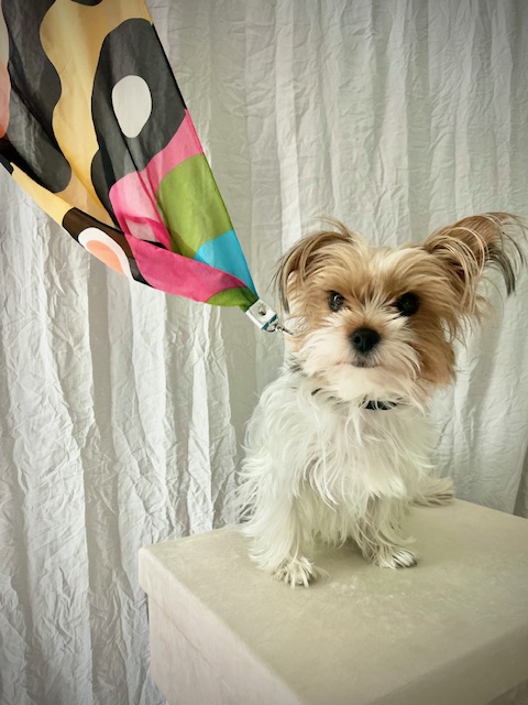 Capri Waves   No. 102