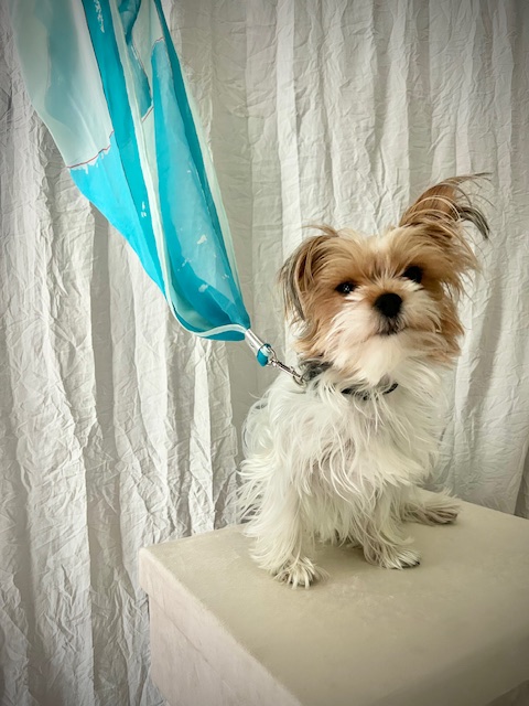 Coastal Pane   No. 104