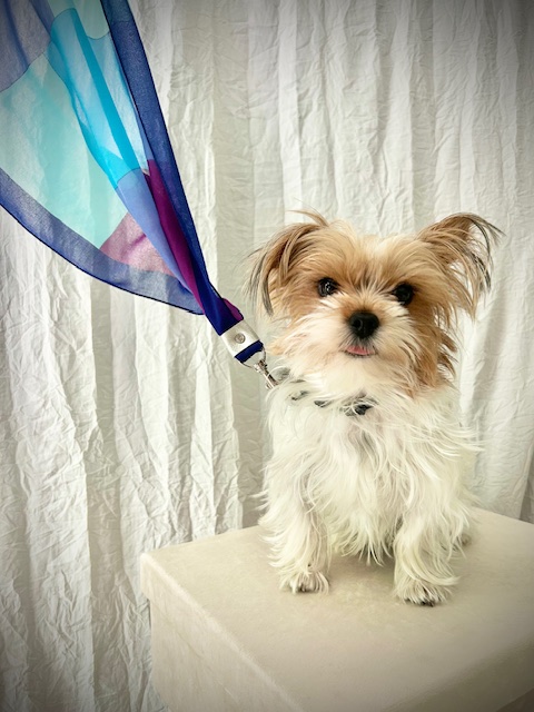 Isola Forme   No. 110