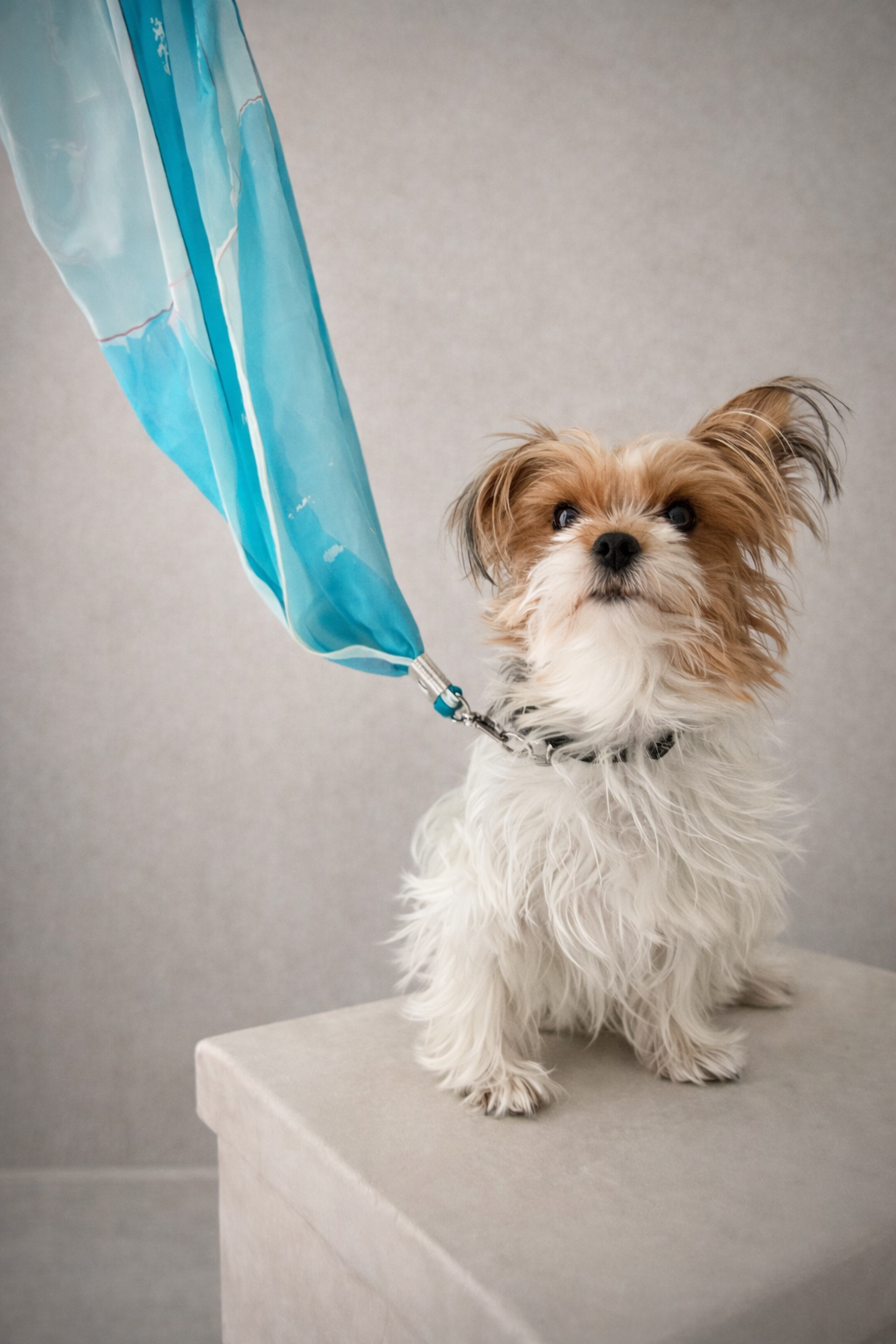 Coastal Pane   No. 104