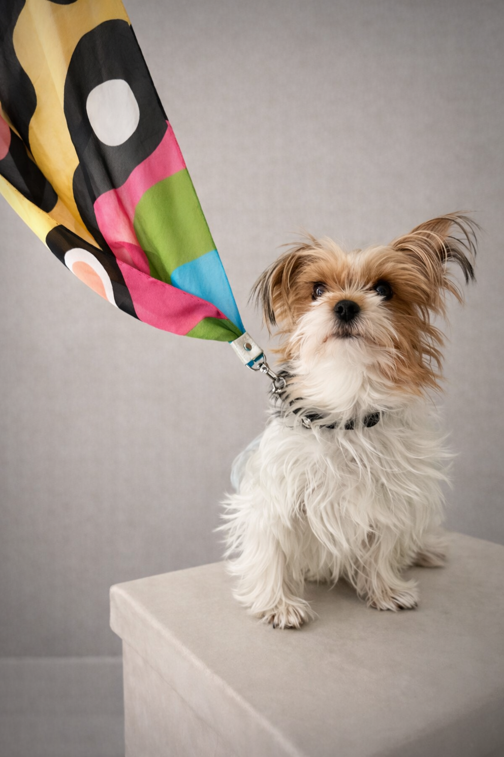 Capri Waves   No. 102