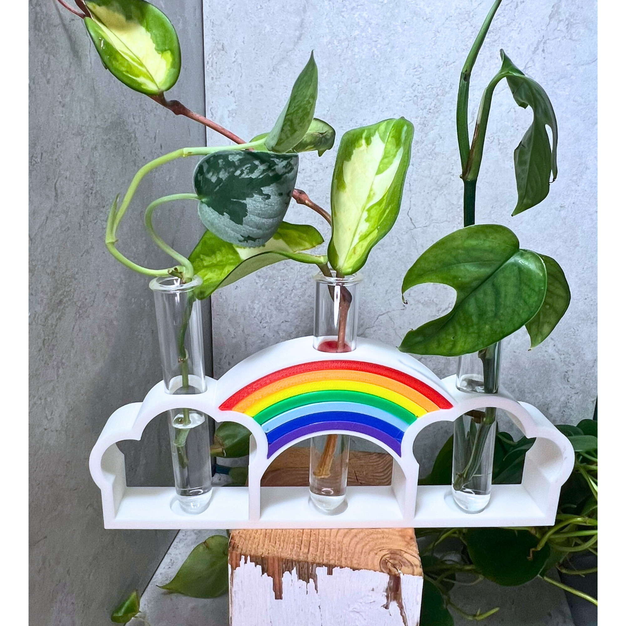 Cloud and Rainbow Propagation Station
