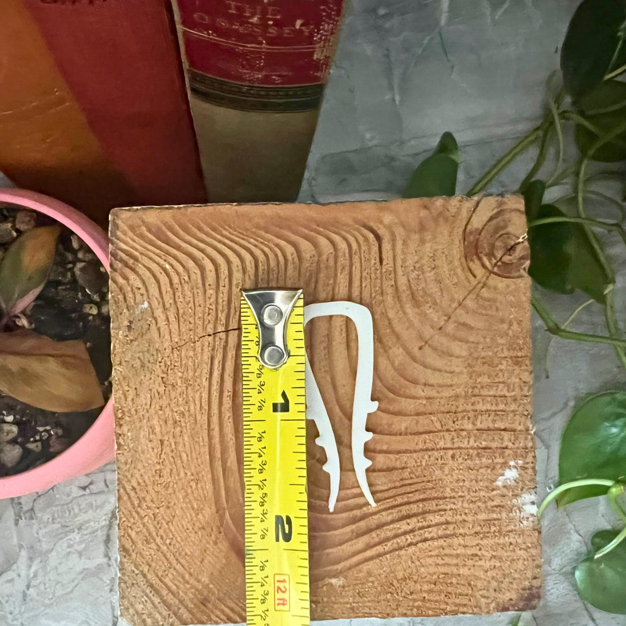 Propagation Pins with Teeth for Vining Plants, Moss Pole Clips, Simple Plant Stakes, Rooting Hooks for Node Propagation, Plant Accessories