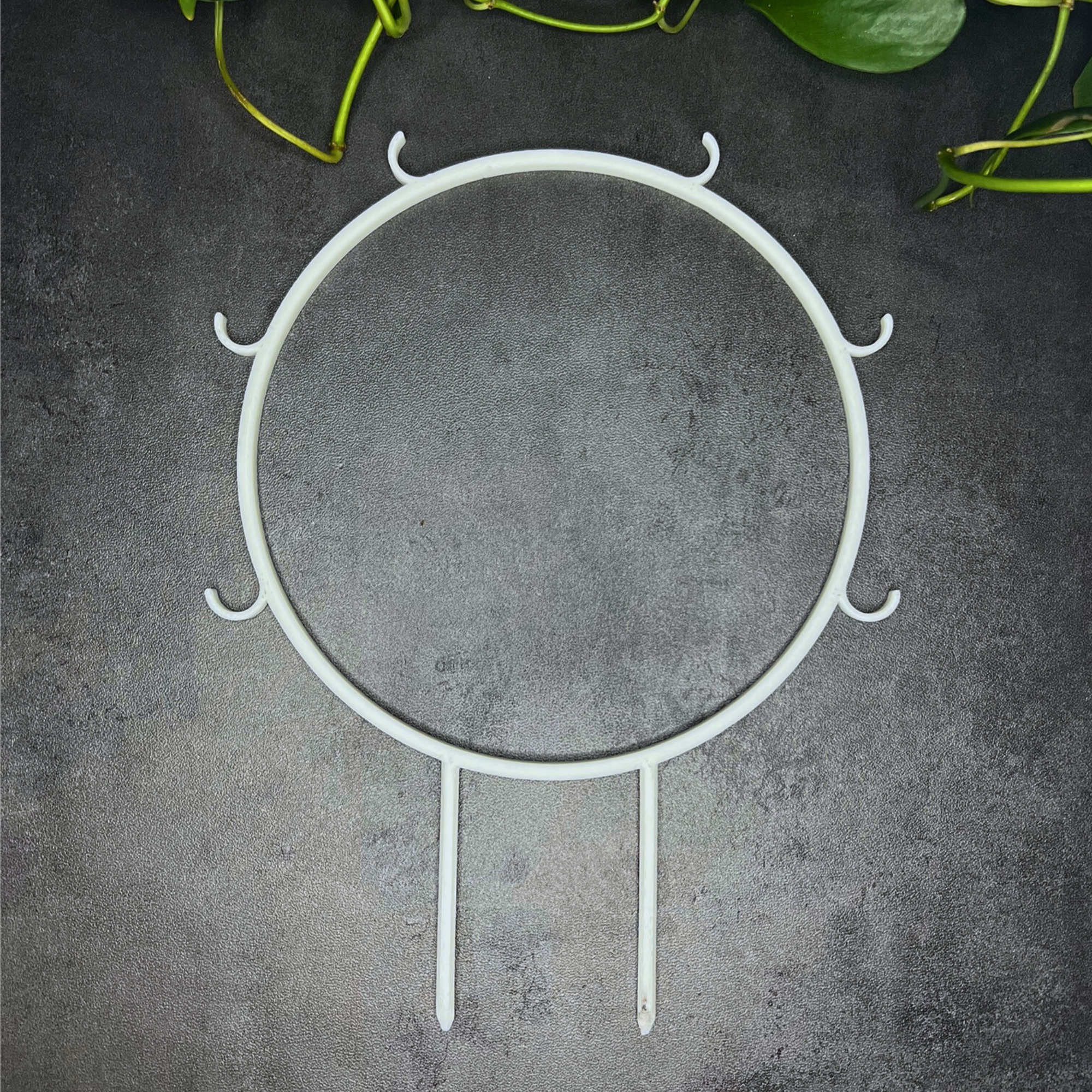Eco Friendly Plant Trellis for Climbing Plants, Round Trellis with Built in Hooks, 6 Inch Diameter Plant Support 