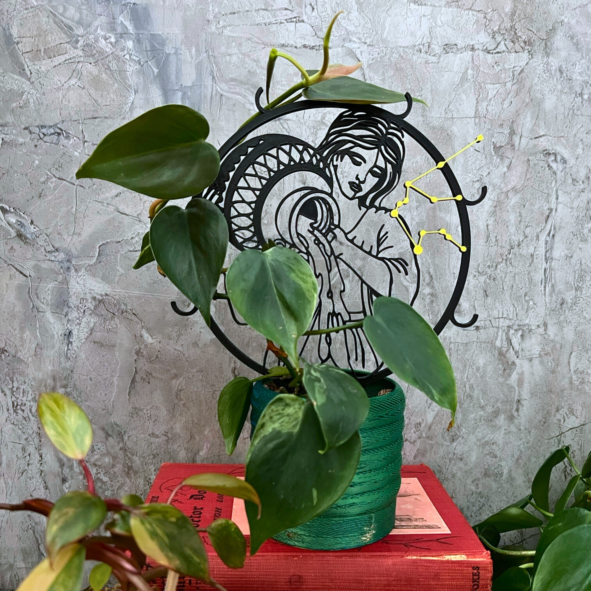 Aquarius Zodiac Sign Indoor Houseplant Trellis, Climbing Plant Support, Birthday Gift, Contemporary Trellis for Hoya, Plant Accessory Stake