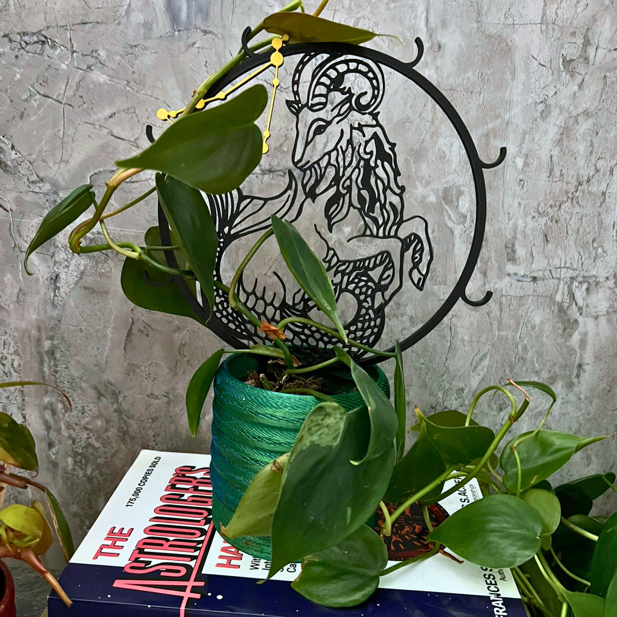 Capricorn Zodiac Plant Trellis