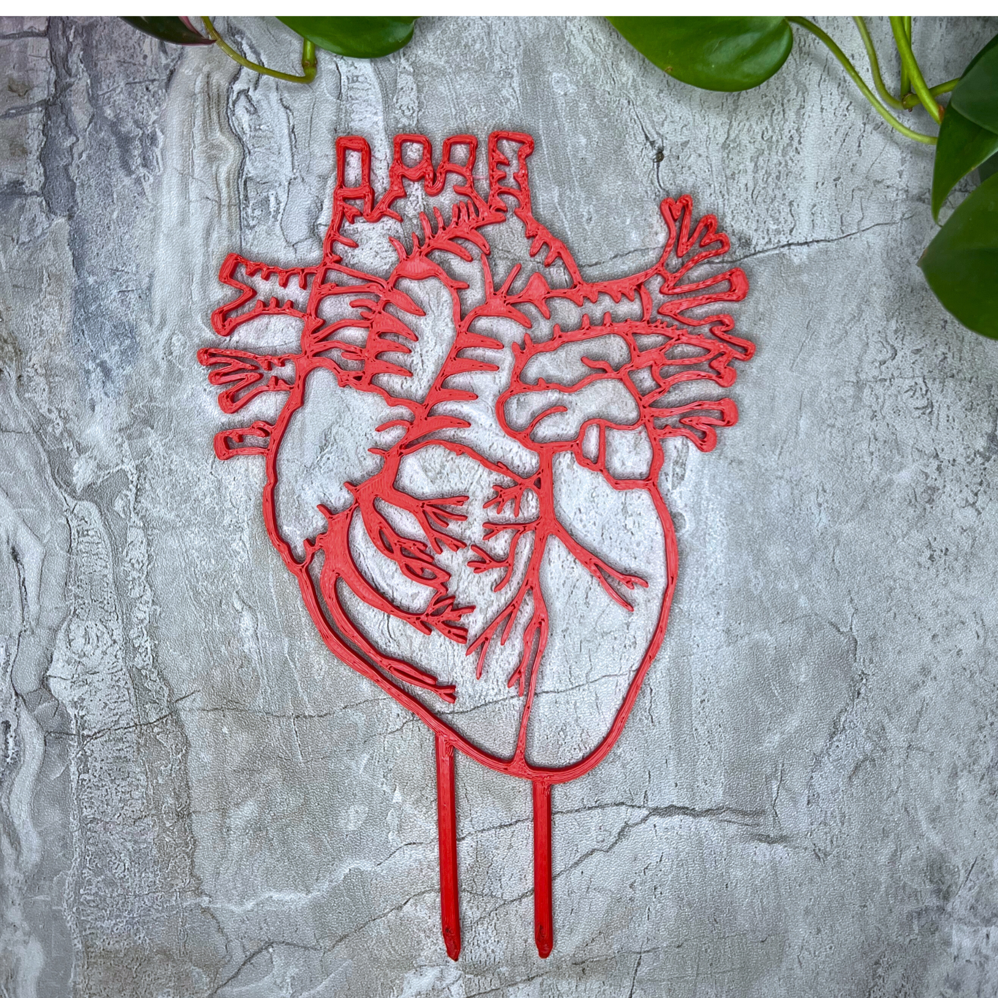 Anatomical Heart Decorative Trellis for Climbing Plants