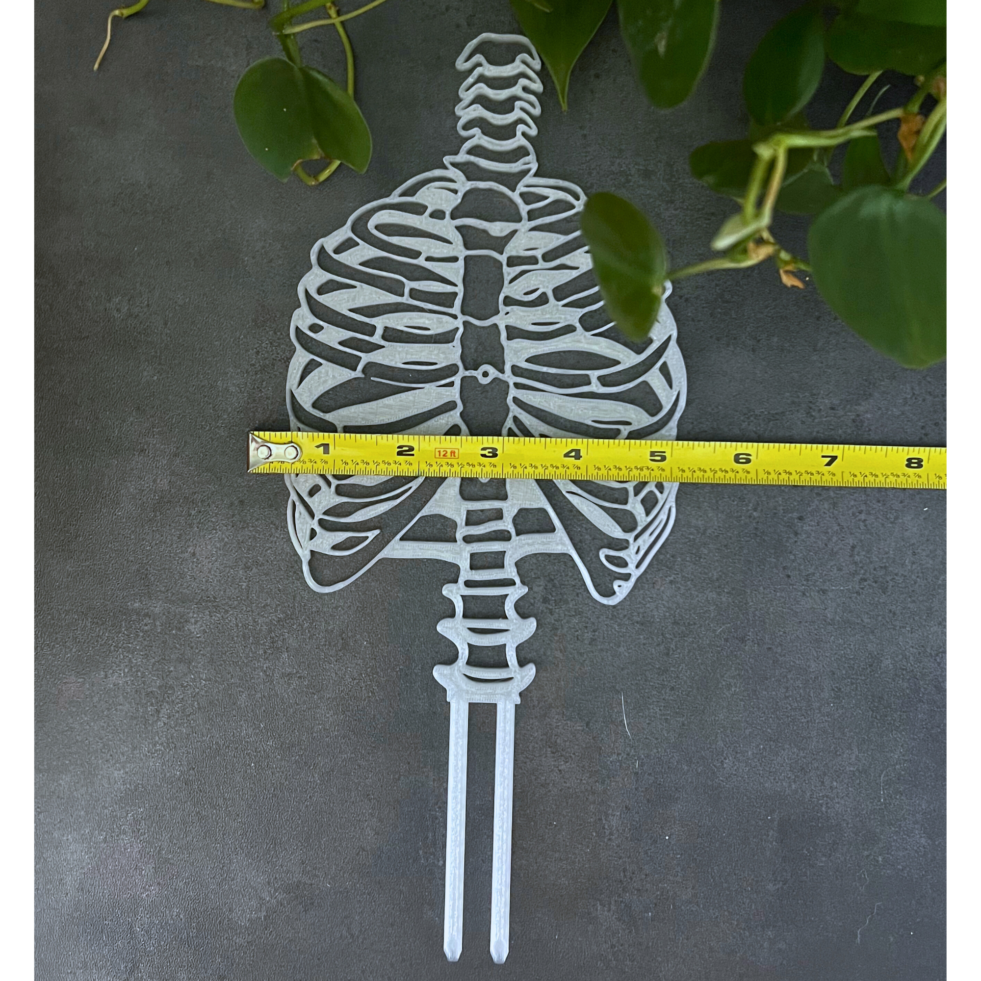 Skeleton Plant Trellis for Climbing Plants, Plant Accessories, Plant Stake, Home Decor