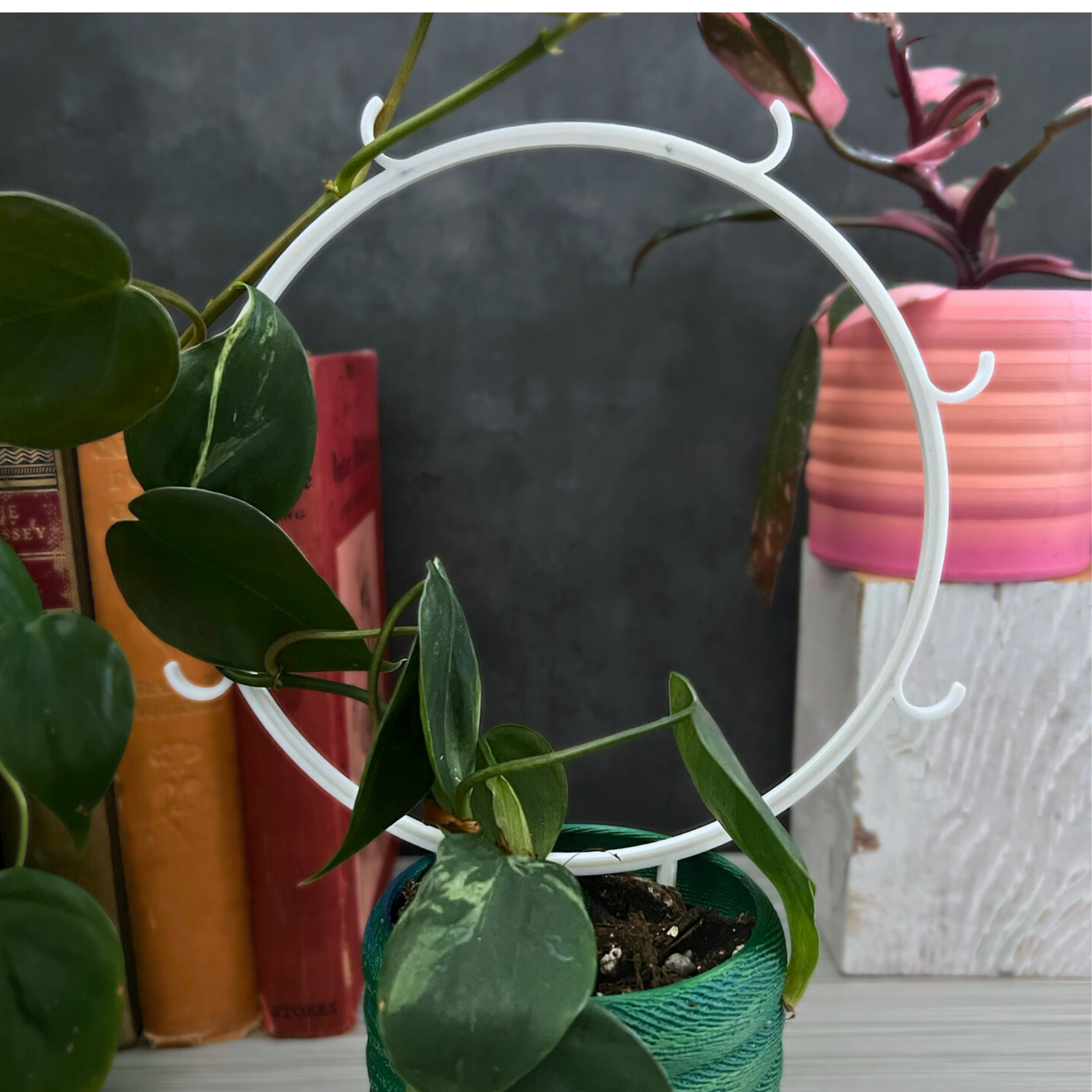 Eco Friendly Plant Trellis for Climbing Plants, Round Trellis with Built in Hooks, 6 Inch Diameter Plant Support 