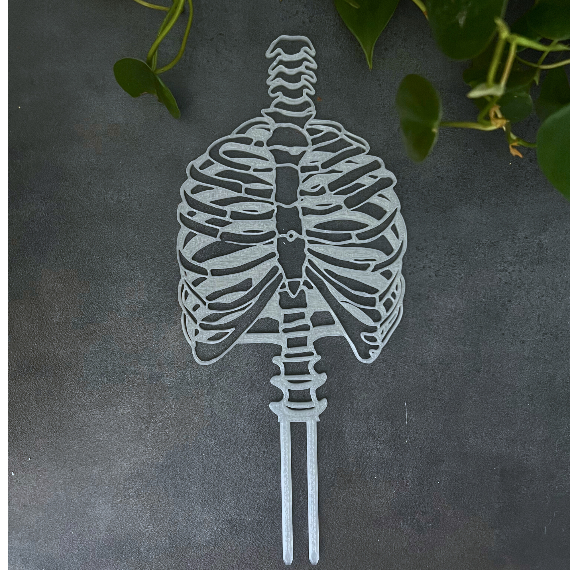 Skeleton Plant Trellis for Climbing Plants, Plant Accessories, Plant Stake, Home Decor