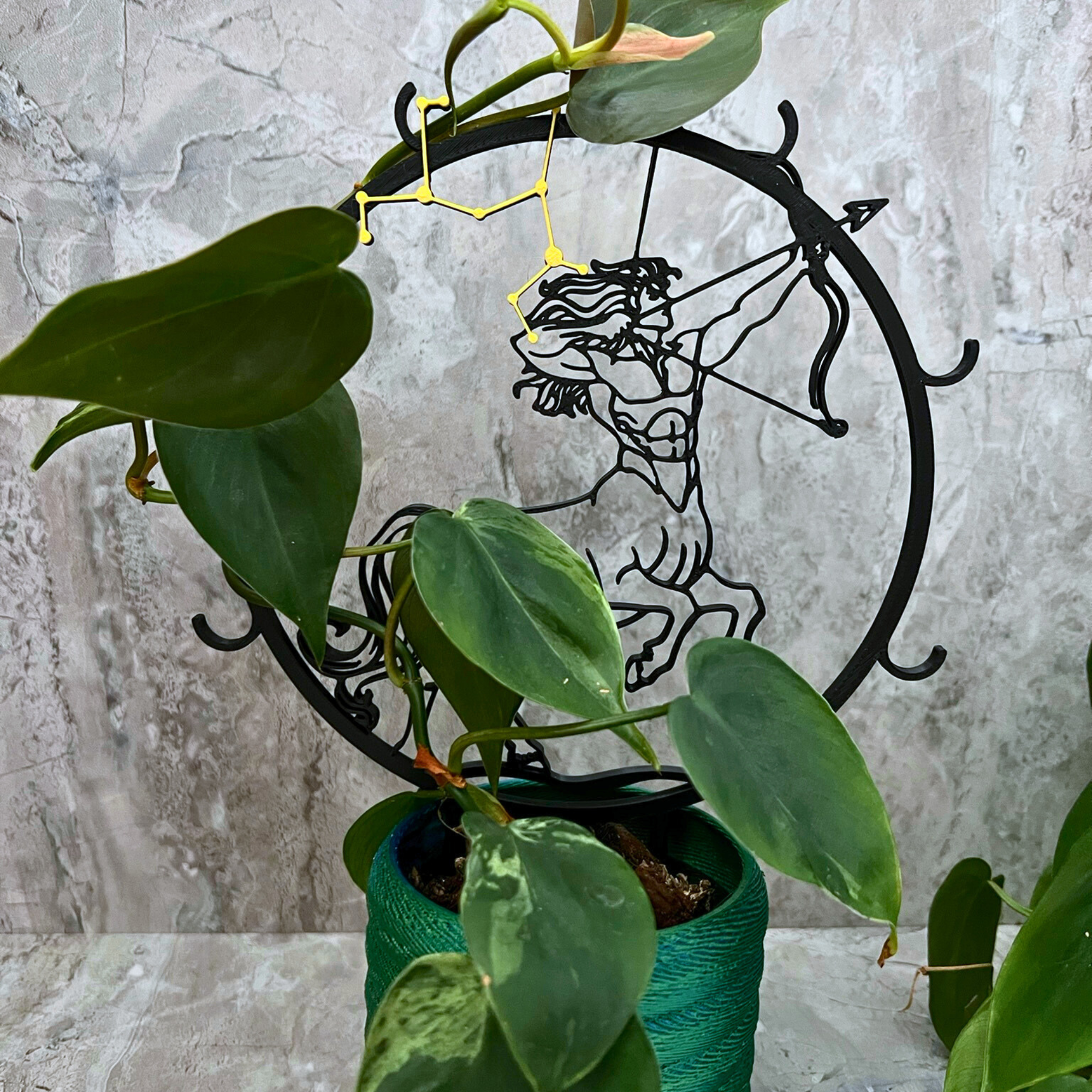 Sagittarius Plant Trellis