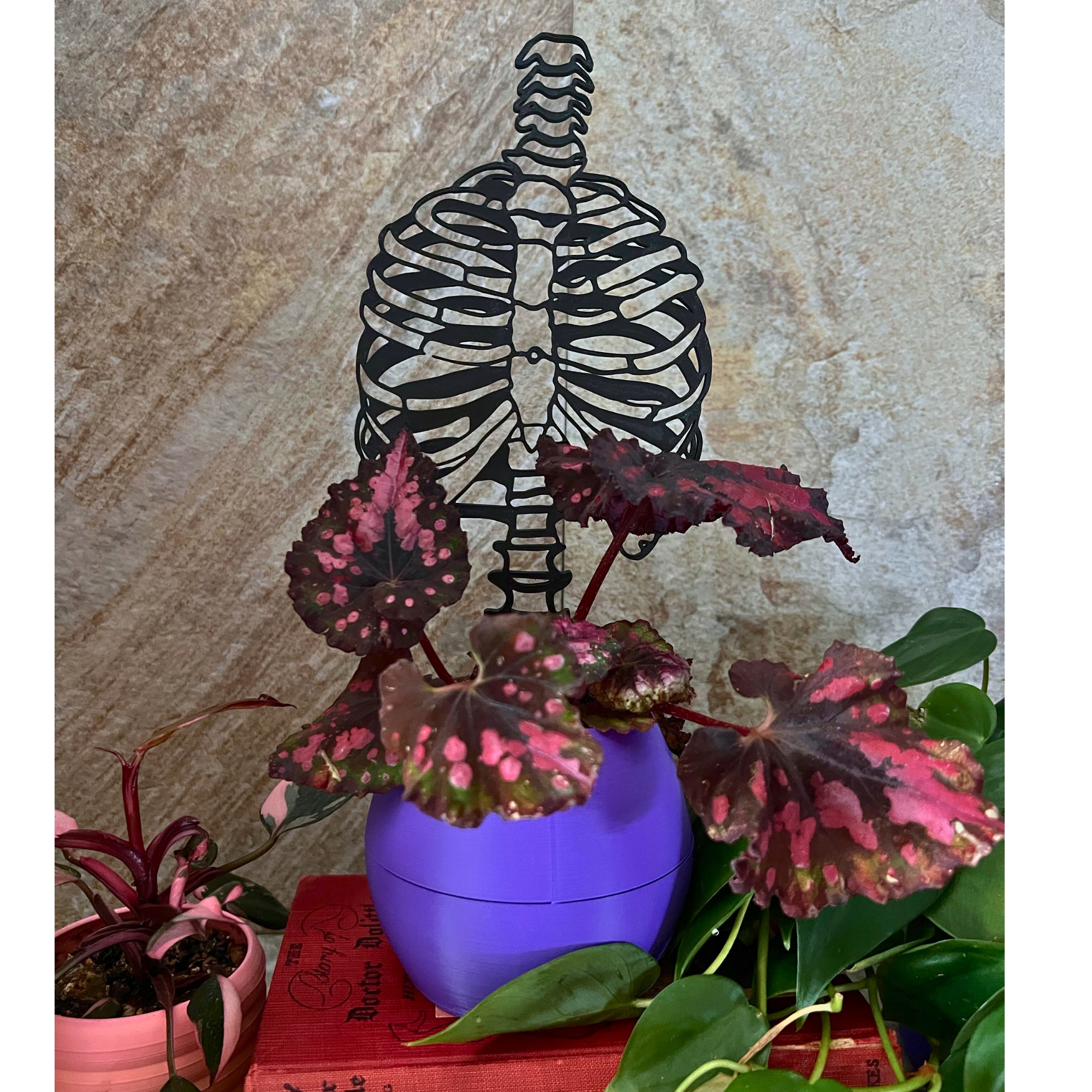 Skeleton Plant Trellis for Climbing Plants, Plant Accessories, Plant Stake, Home Decor