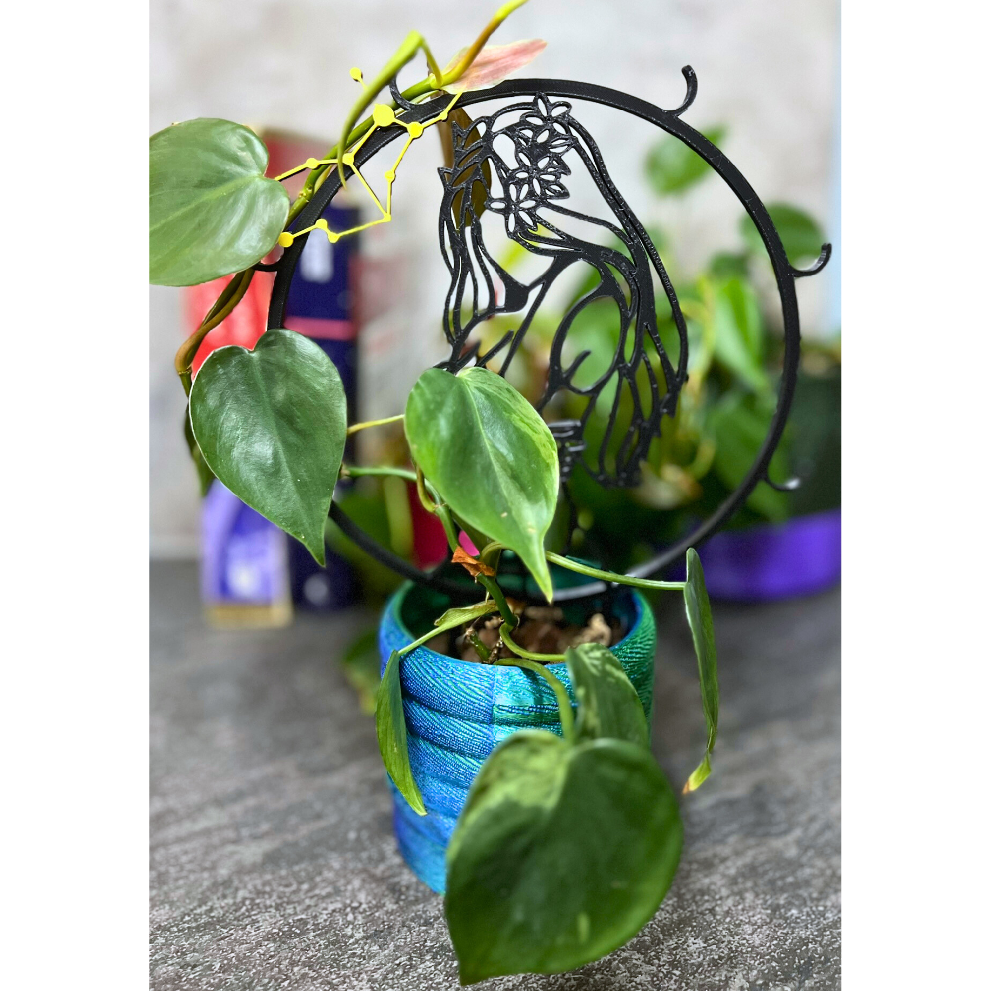 Virgo Zodiac Plant Trellis