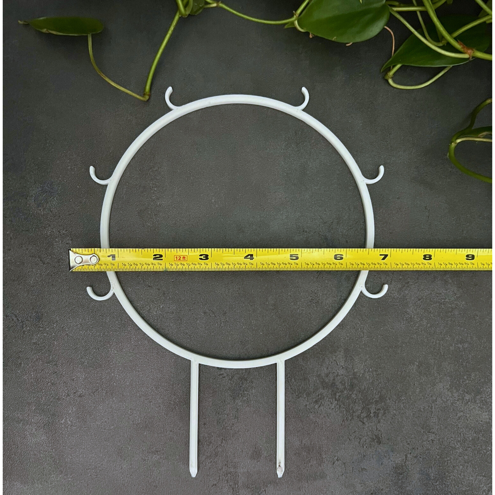 Eco Friendly Plant Trellis for Climbing Plants, Round Trellis with Built in Hooks, 6 Inch Diameter Plant Support 