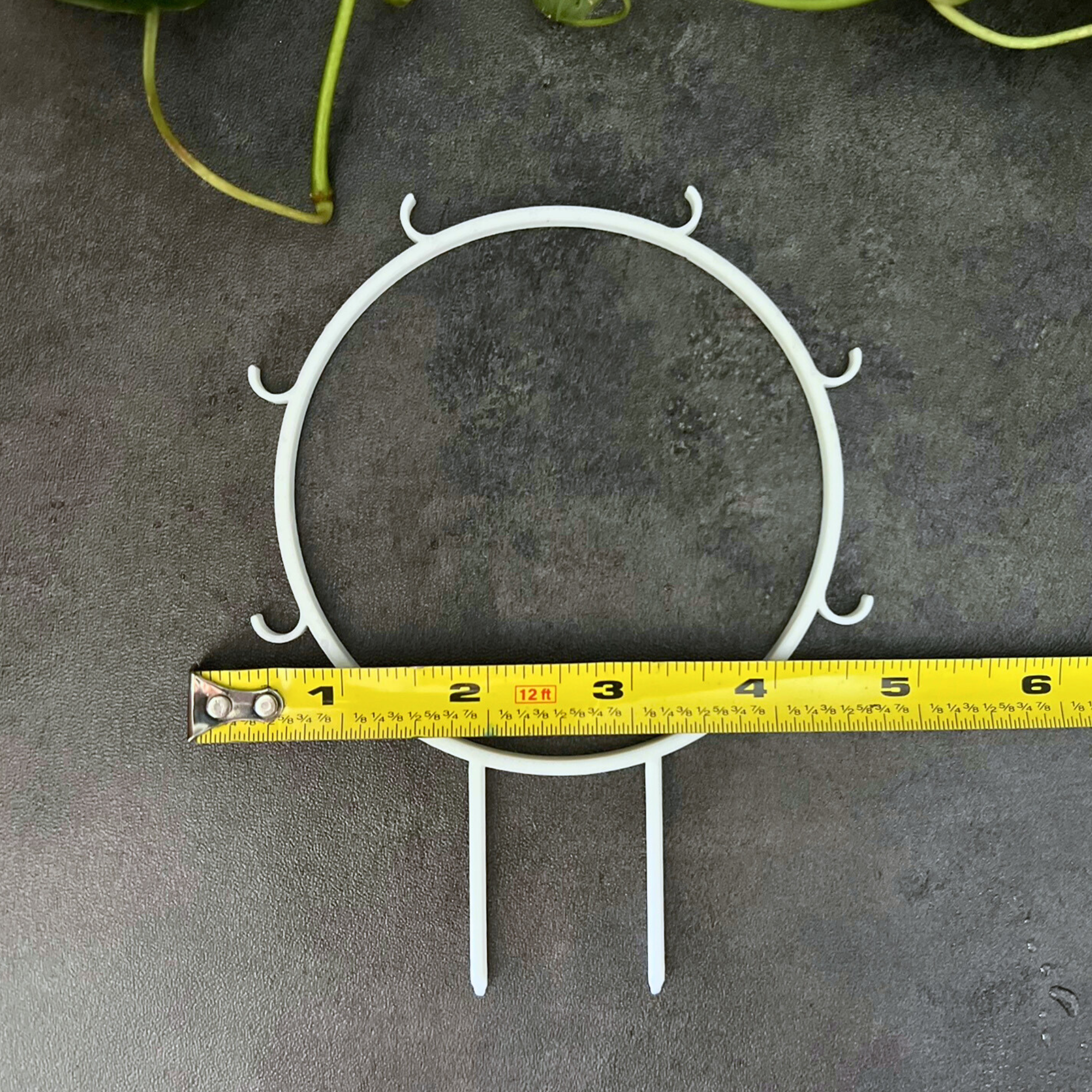 Small Hoop Trellis with Hooks, Eco Friendly Plant Trellis for Climbing Plants, Plant Stake for Pothos, Gift for Her, Hoya Plant Trellis