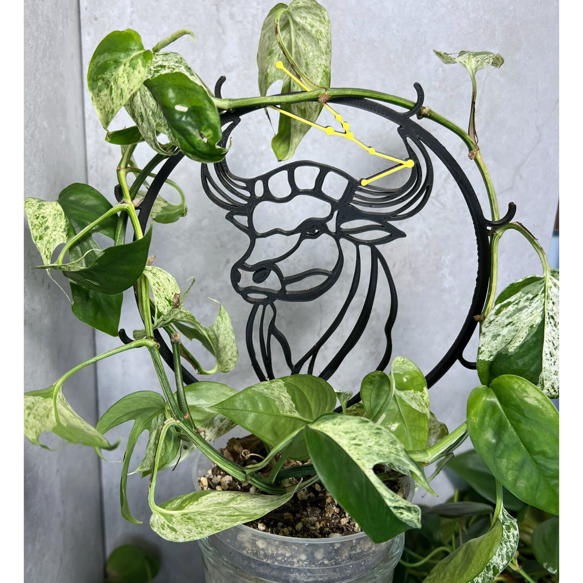 Taurus Zodiac Gift for Her, Bull Head Plant Trellis for Climbing Plants, April Birthday Gift, Indoor Gardening Gifts for Her, Taurus Gifts