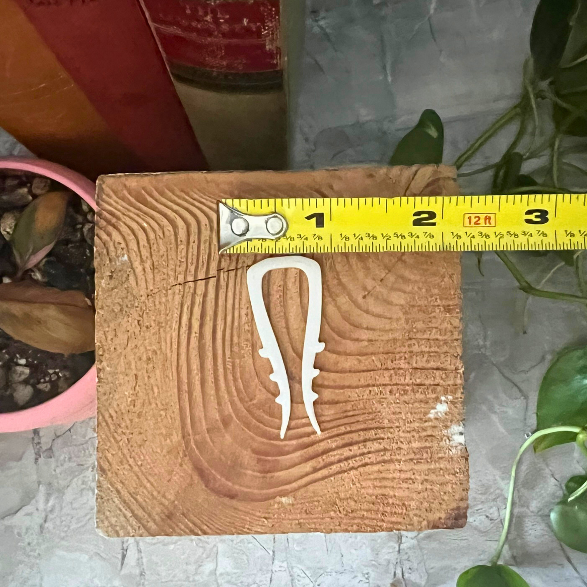 Propagation Pins with Teeth for Vining Plants, Moss Pole Clips, Simple Plant Stakes, Rooting Hooks for Node Propagation, Plant Accessories