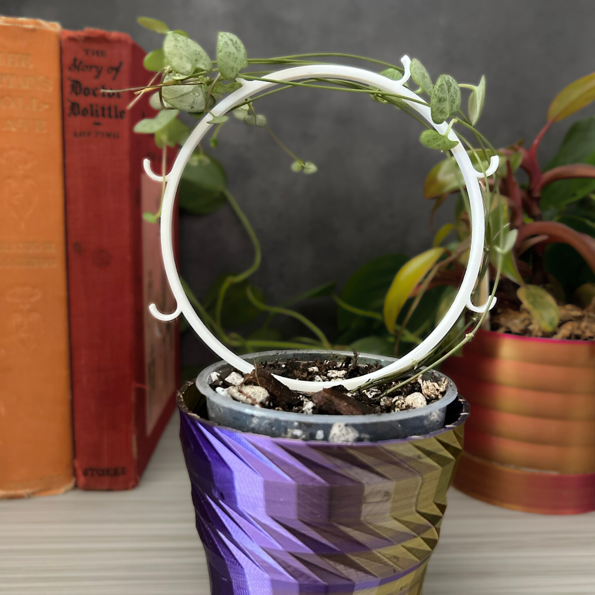 Small Hoop Trellis with Hooks, Eco Friendly Plant Trellis for Climbing Plants, Plant Stake for Pothos, Gift for Her, Hoya Plant Trellis