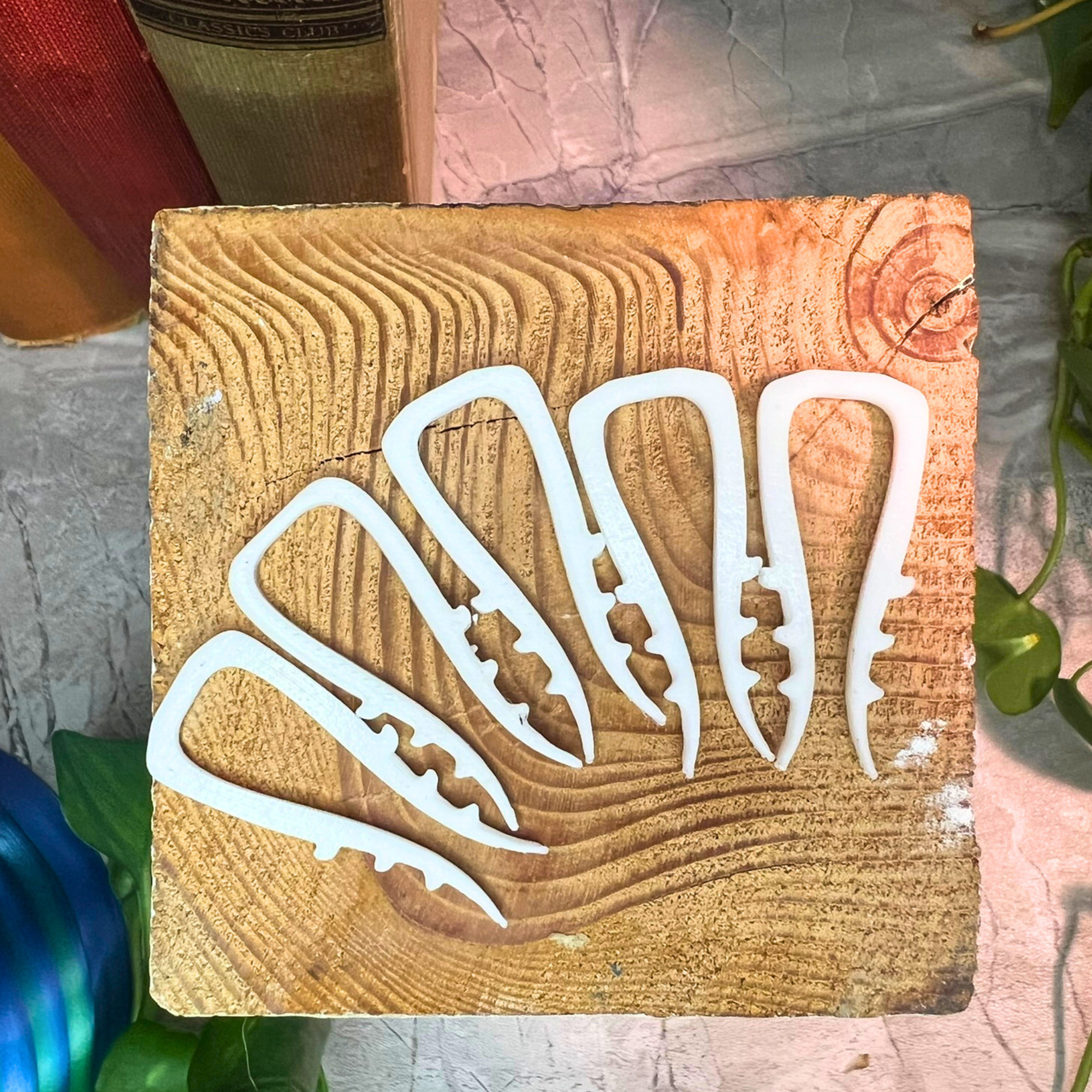 Propagation Pins with Teeth for Vining Plants, Moss Pole Clips, Simple Plant Stakes, Rooting Hooks for Node Propagation, Plant Accessories