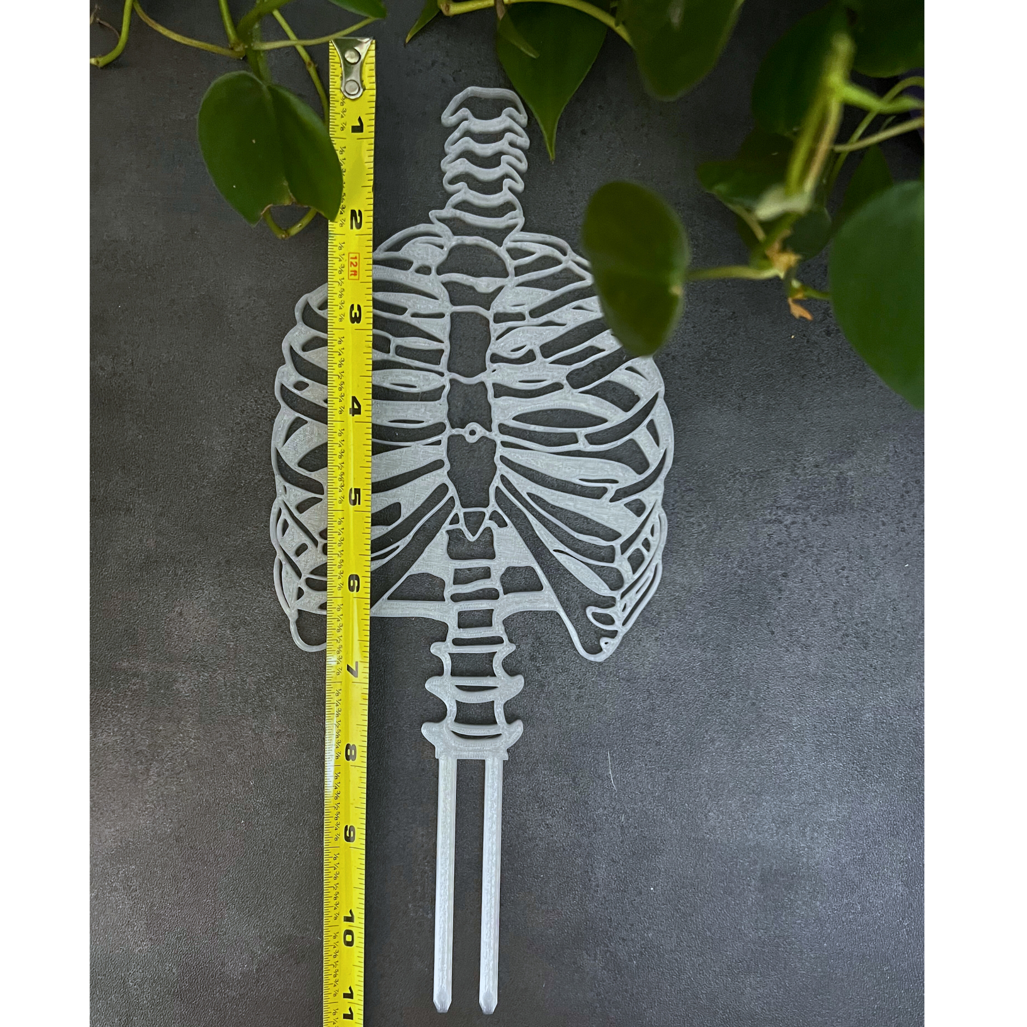 Skeleton Plant Trellis for Climbing Plants, Plant Accessories, Plant Stake, Home Decor